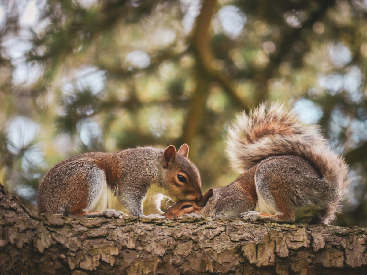 The Benefits of Connecting with&nbsp;Nature