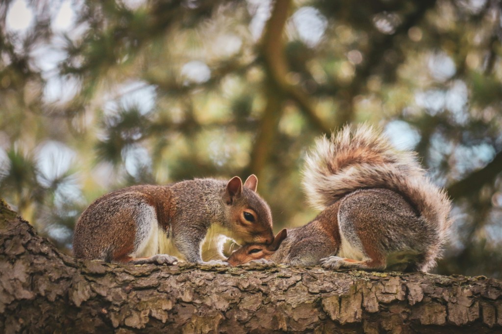 The Benefits of Connecting with&nbsp;Nature